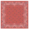 Carré de soie 50 French Bandana