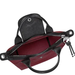 Sac à main XS Le Pliage Energy
